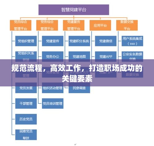 规范流程，高效工作，打造职场成功的关键要素