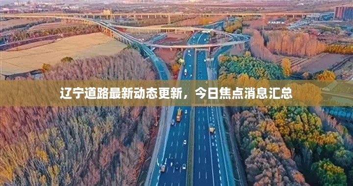 辽宁道路最新动态更新，今日焦点消息汇总