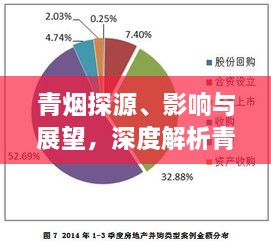 青烟探源、影响与展望，深度解析青烟专题的未来趋势