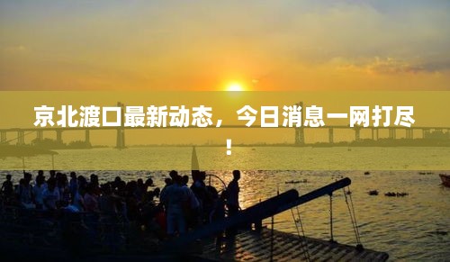 京北渡口最新动态，今日消息一网打尽！