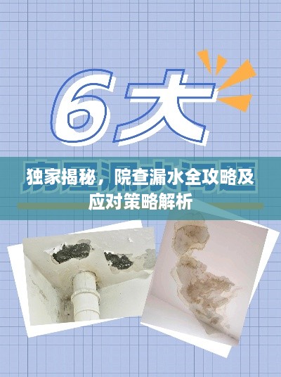 独家揭秘，院查漏水全攻略及应对策略解析