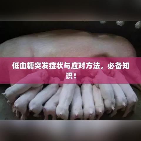 低血糖突发症状与应对方法，必备知识！