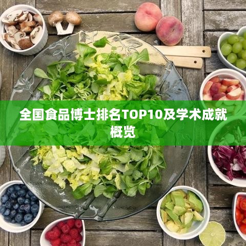 全国食品博士排名TOP10及学术成就概览