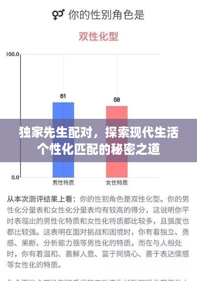 独家先生配对，探索现代生活个性化匹配的秘密之道