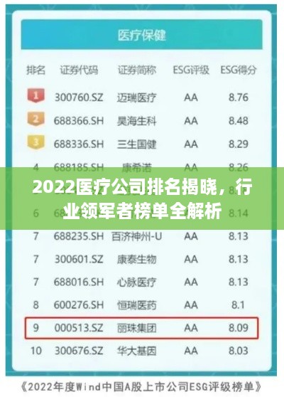 2022医疗公司排名揭晓，行业领军者榜单全解析