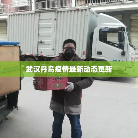 武汉丹鸟疫情最新动态更新