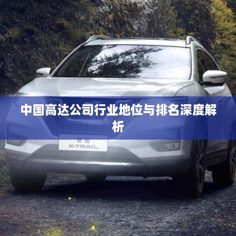 中国高达公司行业地位与排名深度解析