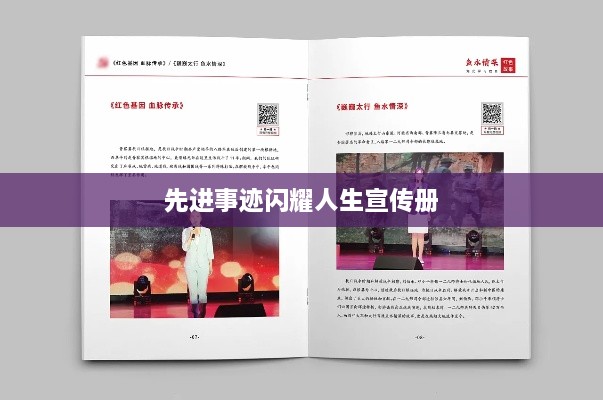 先进事迹闪耀人生宣传册