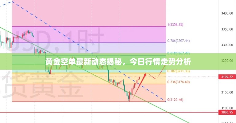 黄金空单最新动态揭秘，今日行情走势分析