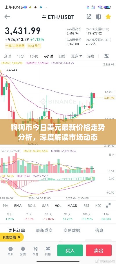 狗狗币今日美元最新价格走势分析，深度解读市场动态