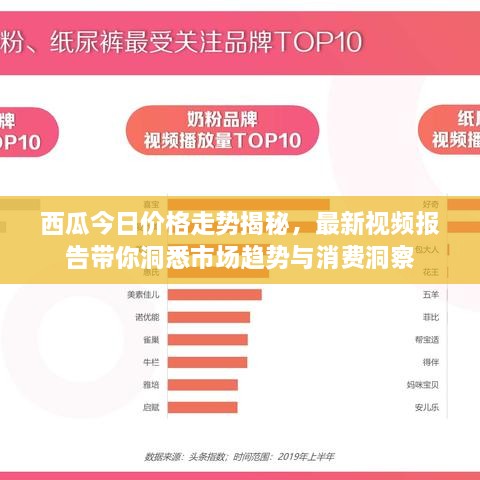 西瓜今日价格走势揭秘，最新视频报告带你洞悉市场趋势与消费洞察