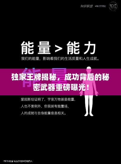 独家王牌揭秘，成功背后的秘密武器重磅曝光！