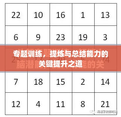 专题训练，提炼与总结能力的关键提升之道