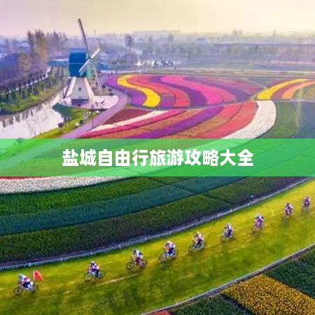 盐城自由行旅游攻略大全