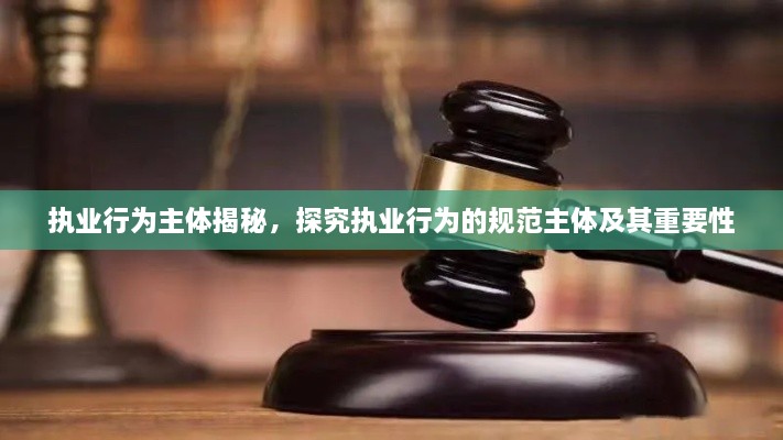 执业行为主体揭秘，探究执业行为的规范主体及其重要性