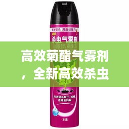 zhanggongbanu