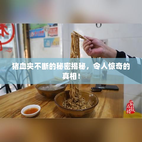 2025年6月10日 第2页