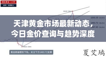 天津黄金市场最新动态，今日金价查询与趋势深度解析