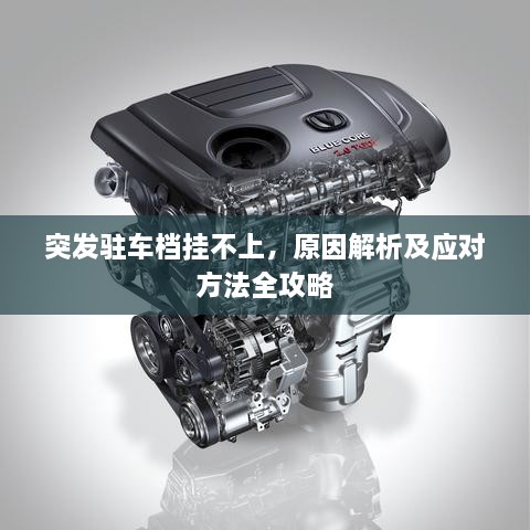环肥燕瘦