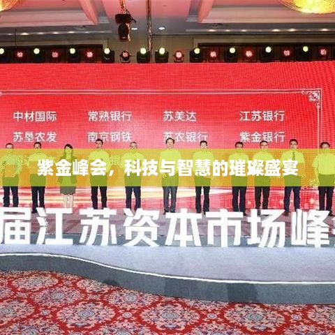 紫金峰会，科技与智慧的璀璨盛宴