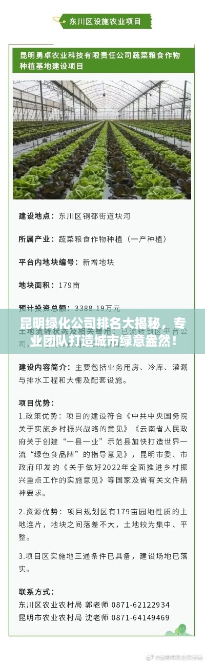 料事如神