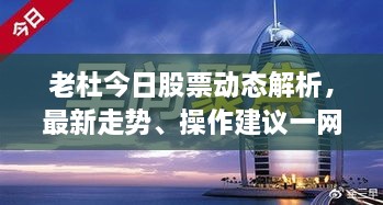 老杜今日股票动态解析，最新走势、操作建议一网打尽