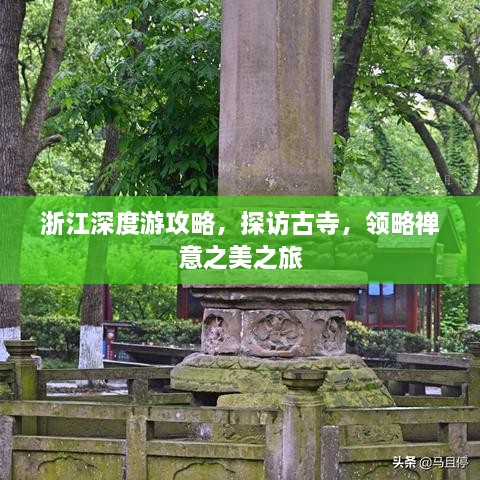 巧舌如簧