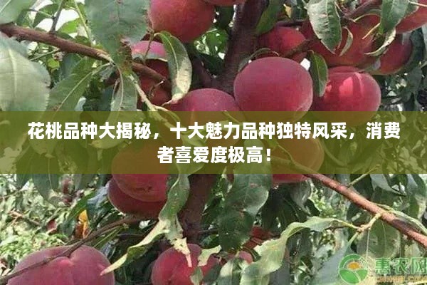 林下风范