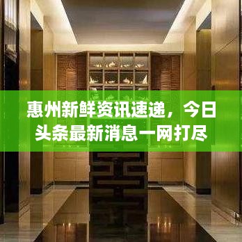 惠州新鲜资讯速递，今日头条最新消息一网打尽