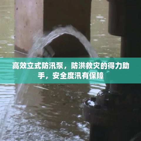 高效立式防汛泵，防洪救灾的得力助手，安全度汛有保障
