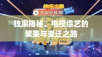 独家揭秘，电视综艺的繁荣与变迁之路