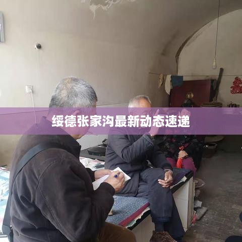 绥德张家沟最新动态速递