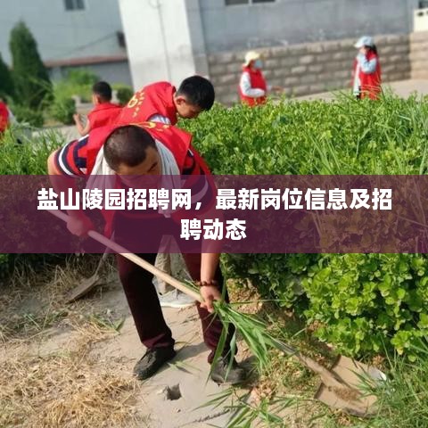 盐山陵园招聘网，最新岗位信息及招聘动态
