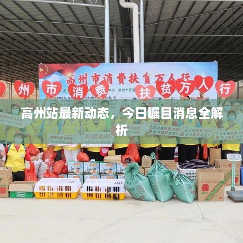 高州站最新动态，今日瞩目消息全解析