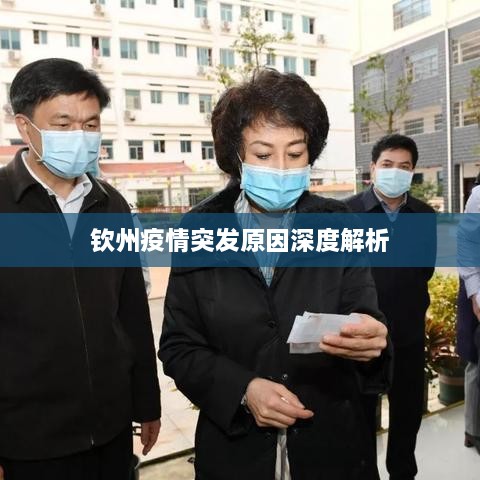 钦州疫情突发原因深度解析