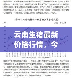 云南生猪最新价格行情，今日市场走势一网打尽