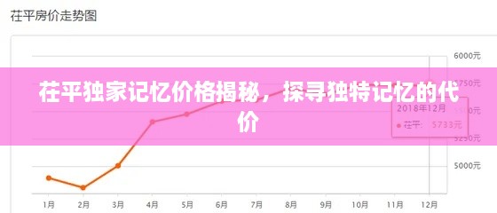 茌平独家记忆价格揭秘，探寻独特记忆的代价