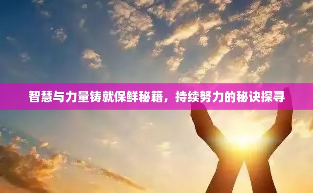 智慧与力量铸就保鲜秘籍，持续努力的秘诀探寻