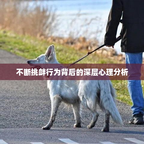 不断挑衅行为背后的深层心理分析
