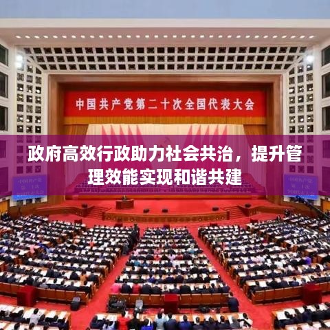 政府高效行政助力社会共治，提升管理效能实现和谐共建