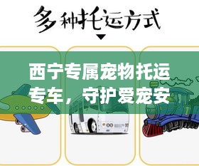 西宁专属宠物托运专车，守护爱宠安全旅程