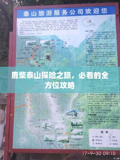 鹿柴泰山探险之旅，必看的全方位攻略