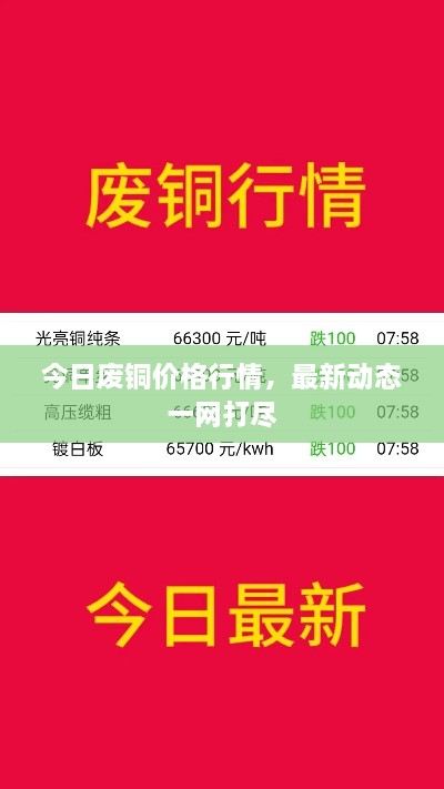 今日废铜价格行情，最新动态一网打尽