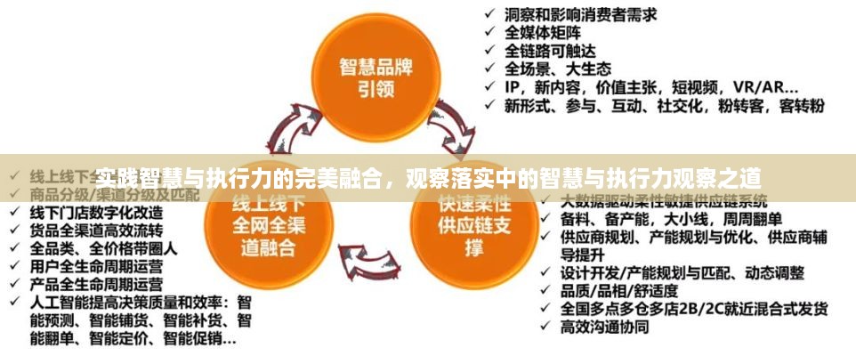 实践智慧与执行力的完美融合，观察落实中的智慧与执行力观察之道