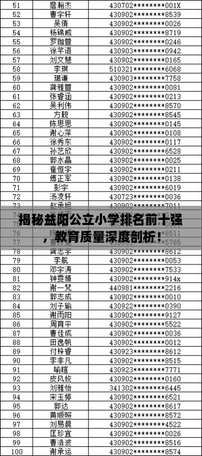 揭秘益阳公立小学排名前十强，教育质量深度剖析！