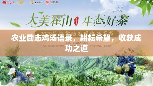 农业励志鸡汤语录，耕耘希望，收获成功之道