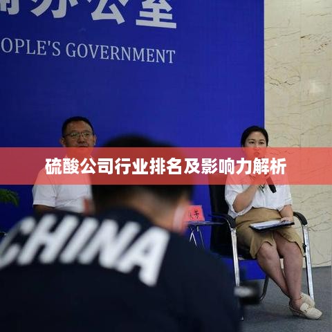 硫酸公司行业排名及影响力解析
