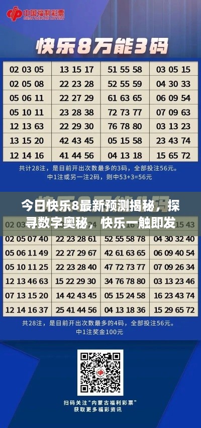 今日快乐8最新预测揭秘，探寻数字奥秘，快乐一触即发