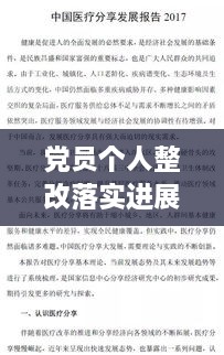 党员个人整改落实进展全面汇报，深度剖析与成效展示