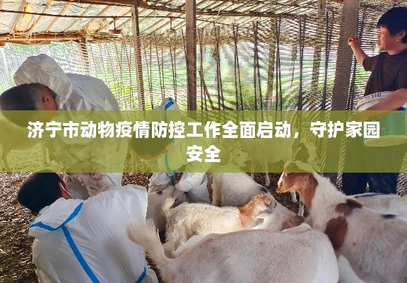 济宁市动物疫情防控工作全面启动，守护家园安全